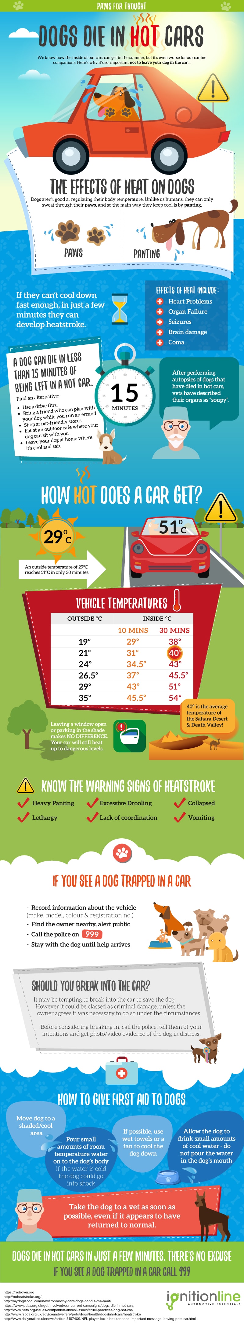 Dogs in hot cars Infographic